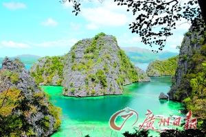 菲律宾“鸟巢”体验自然生态最完好的爱昵岛