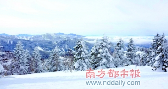 早春日本游记 那山、那雪、那猴