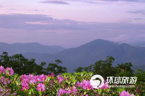 春日赏花攻略：全球十大最美花海推荐