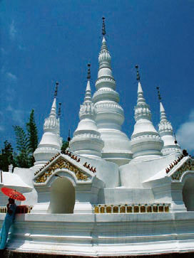 云南西双版纳 挡不住的热带风情[3]