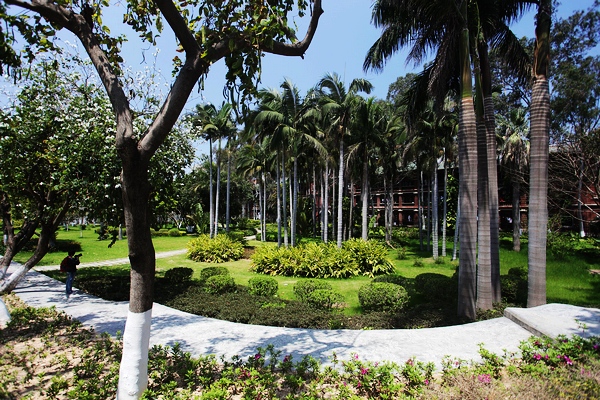 邂逅最美的厦门大学 依山傍海木棉花开[2]