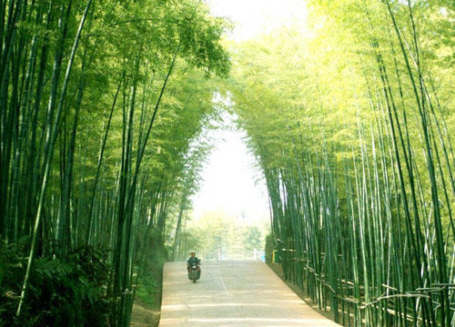 回味经典电影镜头 追忆七大爱情圣地