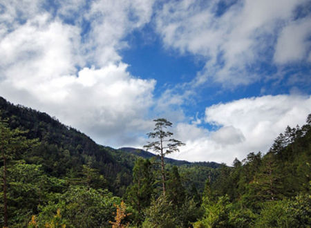 宝岛台湾初印象 七种味道 七种风情