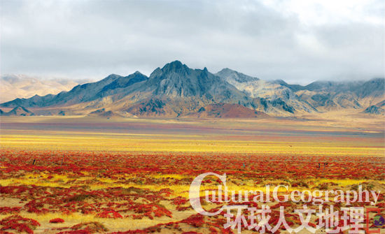阿尔金山：死亡与美丽同行的生命禁区