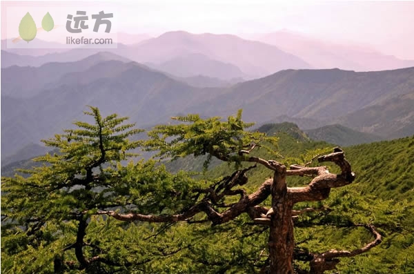 行走在秦岭之脊太白之巅 陕西太白山自助游攻略