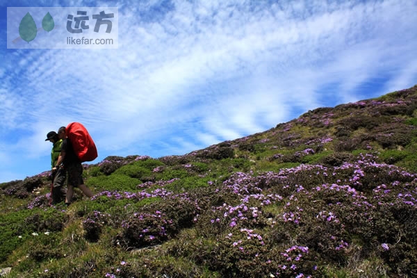行走在秦岭之脊太白之巅 陕西太白山自助游攻略
