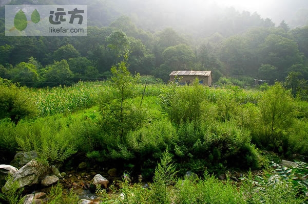 行走在秦岭之脊太白之巅 陕西太白山自助游攻略