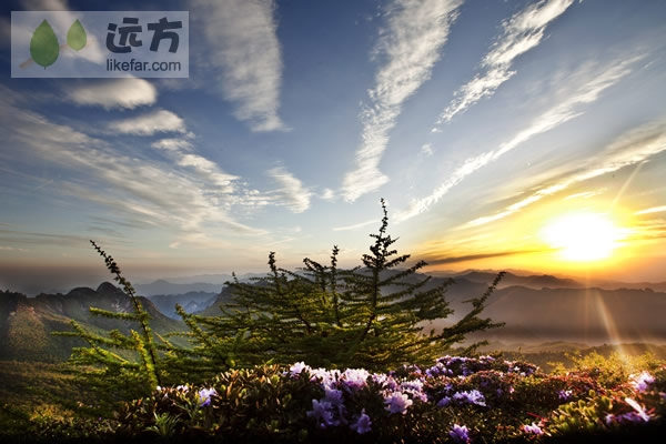 行走在秦岭之脊太白之巅 陕西太白山自助游攻略