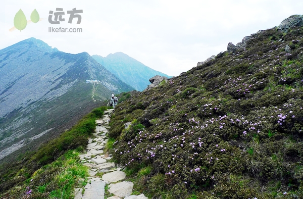 行走在秦岭之脊太白之巅 陕西太白山自助游攻略