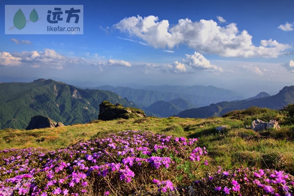 行走在秦岭之脊太白之巅 陕西太白山自助游攻略