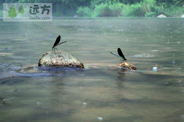 2012年密云白河峡谷老岩场攀岩自助游攻略[3