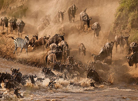 逍遥度夏 到肯尼亚感受赤道清凉