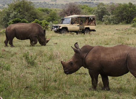 逍遥度夏 到肯尼亚感受赤道清凉