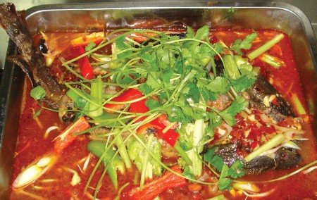 吃货游四川 蜀地美景平民美食