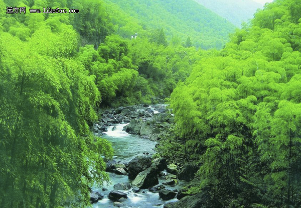风过竹海，藏不住的安吉 浙江安吉自助攻略