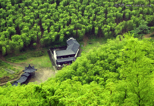风过竹海，藏不住的安吉 浙江安吉自助攻略