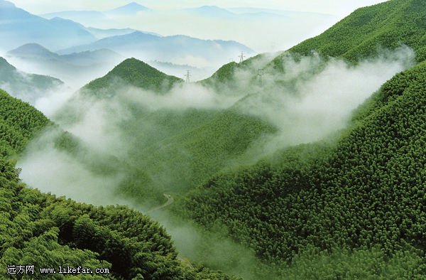 风过竹海,藏不住的安吉 浙江安吉自助攻略