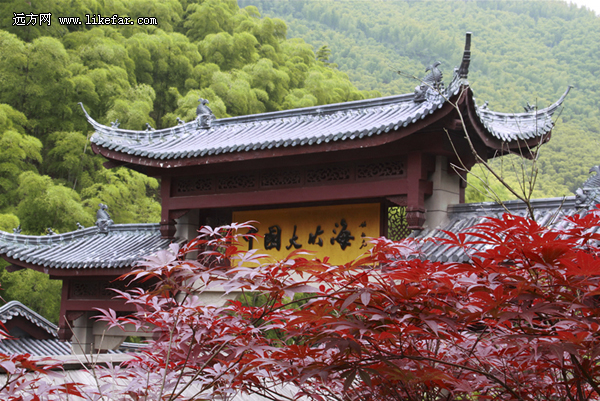 风过竹海，藏不住的安吉 浙江安吉自助攻略