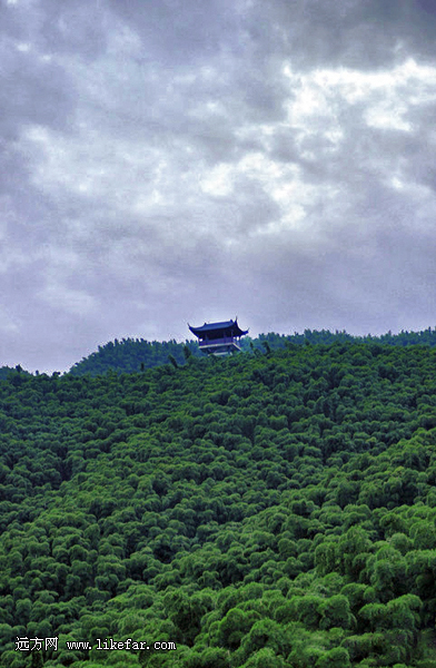 风过竹海，藏不住的安吉 浙江安吉自助攻略