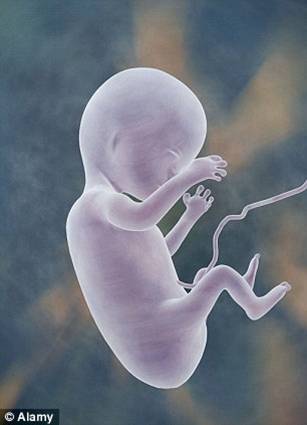 英国夫妻揭秘印度造婴工厂
