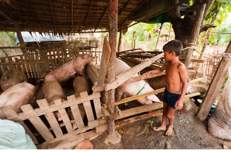 实拍柬埔寨老百姓真实生活 幸福与贫穷、富裕无关