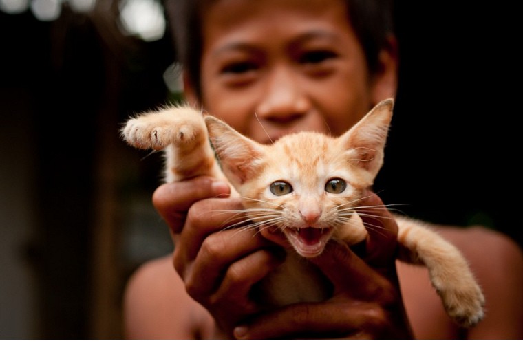 实拍柬埔寨老百姓真实生活 幸福与贫穷、富裕无关