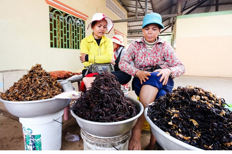 实拍柬埔寨老百姓真实生活 幸福与贫穷、富裕无关