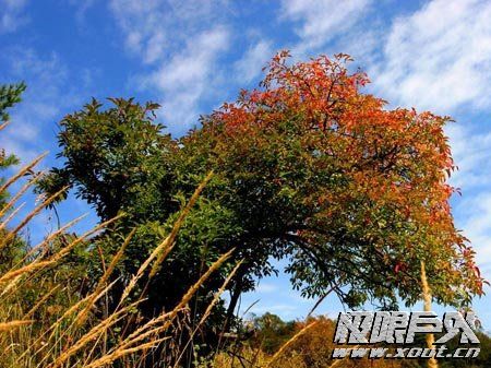 游走陕西秦岭 驴友史上最详细攻略