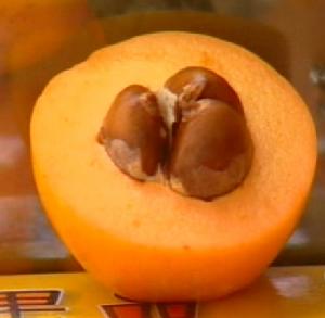 女性养生指南：饮食丰胸法 十种水果有奇效