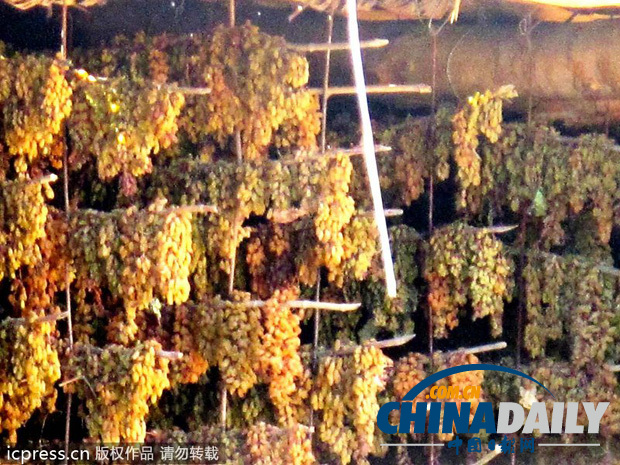 地道新疆美食全攻略：“切糕闹”完胜（组图）