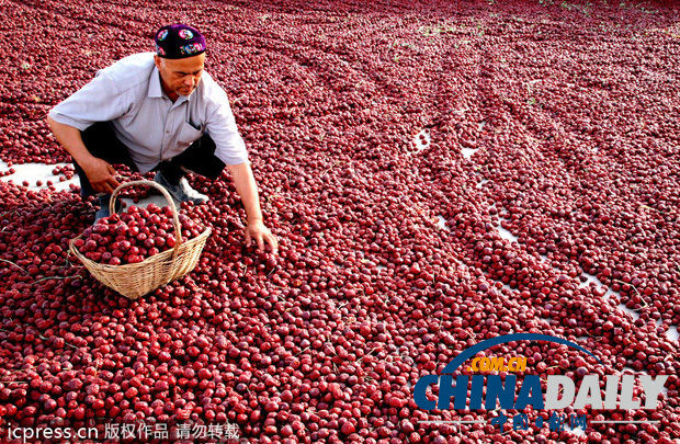 地道新疆美食全攻略：“切糕闹”完胜（组图）