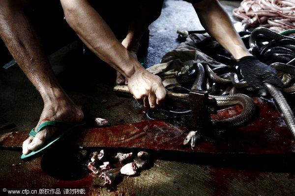 重口味“美食” 吃得下去算你狠【组图】