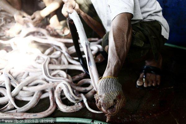 重口味“美食” 吃得下去算你狠【组图】