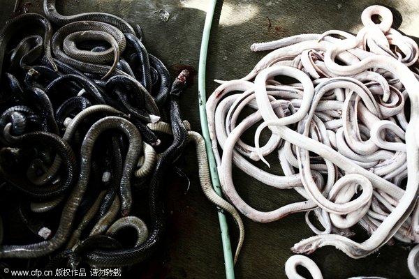 重口味“美食” 吃得下去算你狠【组图】