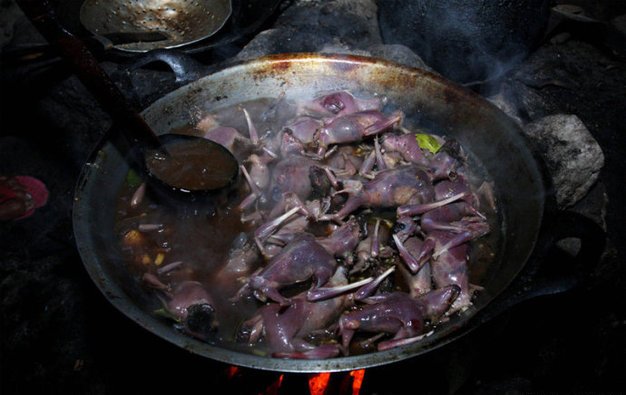 重口味“美食” 吃得下去算你狠【组图】