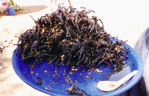 重口味“美食” 吃得下去算你狠【组图】