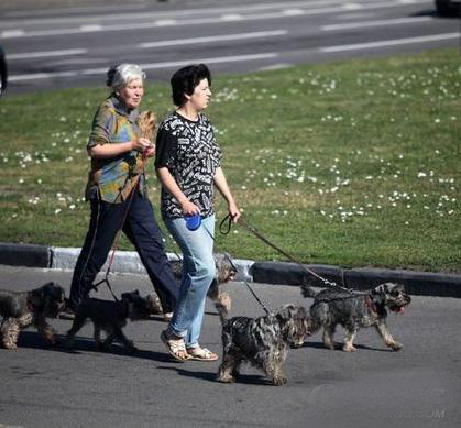 华人眼中的莫斯科：生活成本超中国