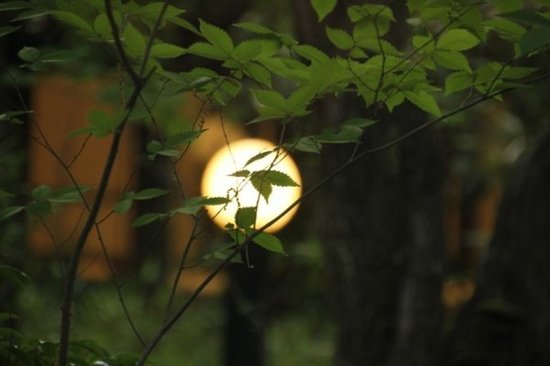 日本最高级温泉旅馆到底有多舒服