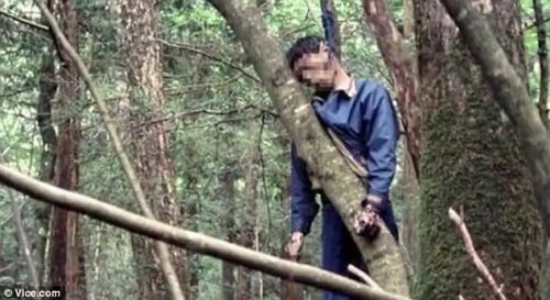 揭秘日本自杀森林：遗物到处散落 阴森恐怖(图)
