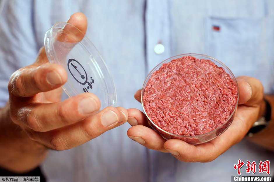 世界首个“人造牛肉”汉堡亮相伦敦