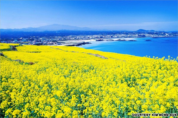 玩转韩国 流连忘返40个最美的地方（图）