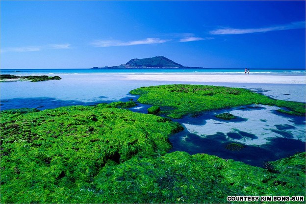 玩转韩国 流连忘返40个最美的地方(图)