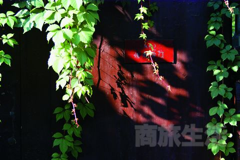 市井间的非典型生活 古城天津玩出新味道