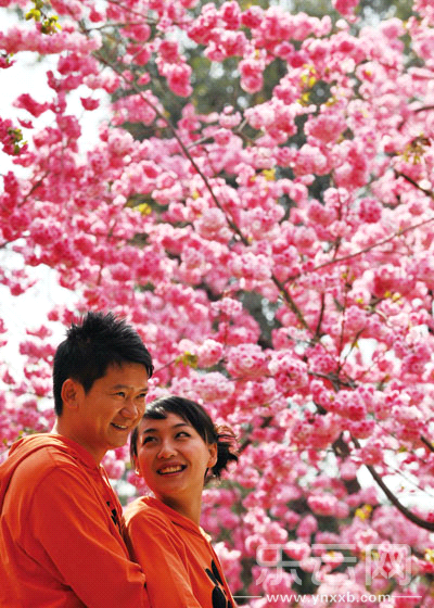 花都开好了 不赏花不知云南春天有多美