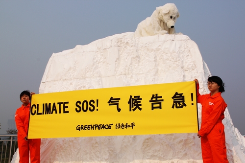 无家可归的北极熊：气候危机分秒间恶化