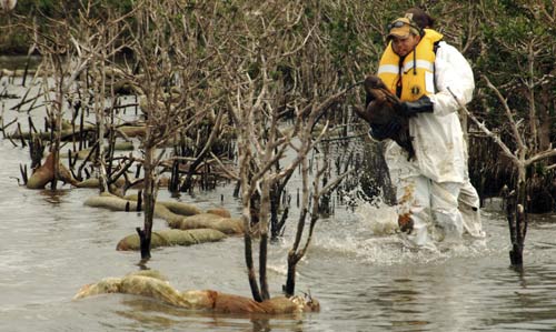 Chinese oil giant learns BP spill lesson