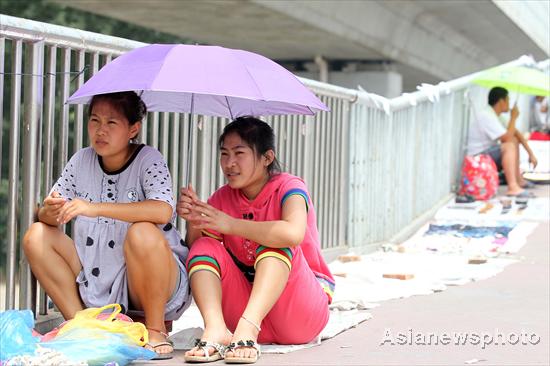 Scorching heat ravages China, prompts algae blooms