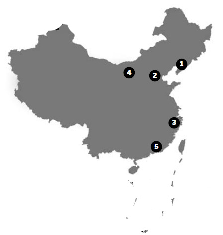 Around China: Illegal arms trader executed