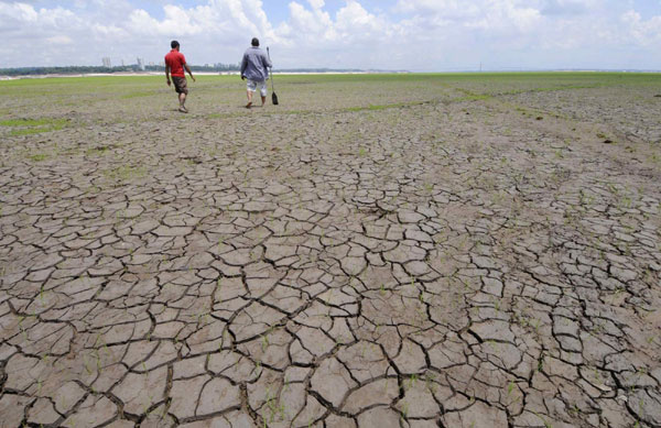 Brazil's Amazon region suffers severe drought