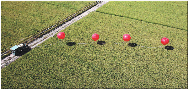 Food Security in China